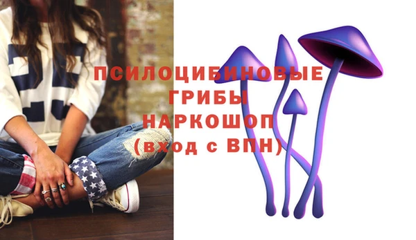 прущий лед Балахна