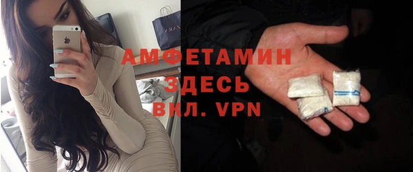 прущие грибы Балабаново