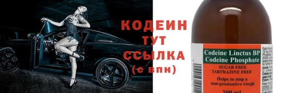 прущие грибы Балабаново