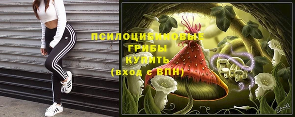 прущие грибы Балабаново